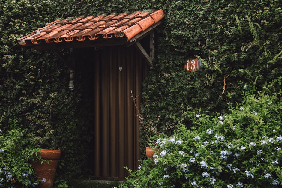 Detailed nutrition guide booklet and fresh produce